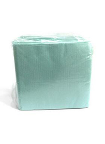 青色片狀無(wú)塵擦拭紙